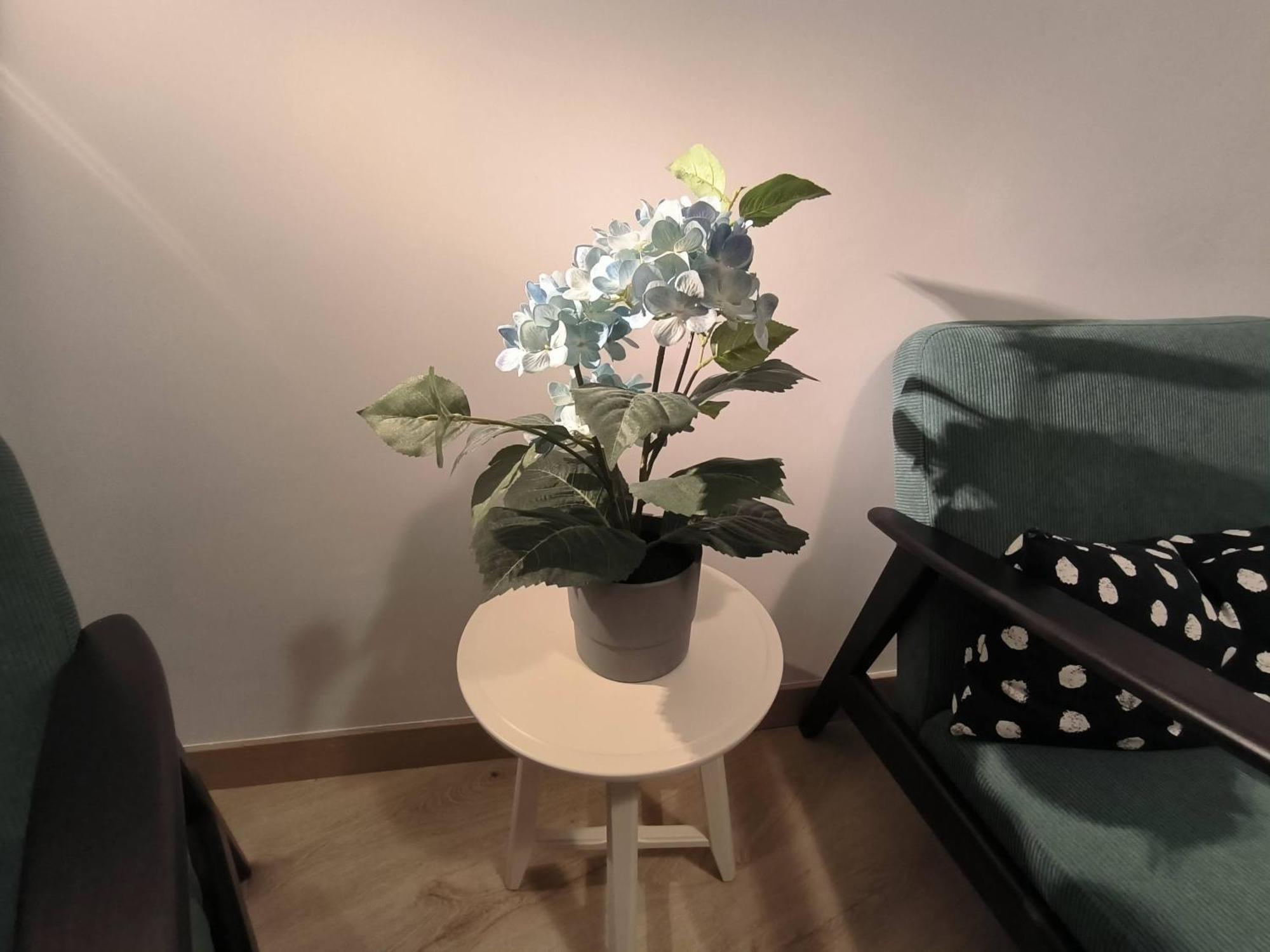 Apartamento Zabala Conoce Bilbao Desde Dentro Exterior foto
